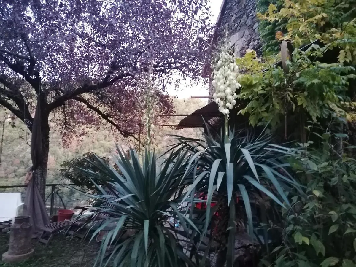 Homestay Francois Bevort Itival Apartment Broquies